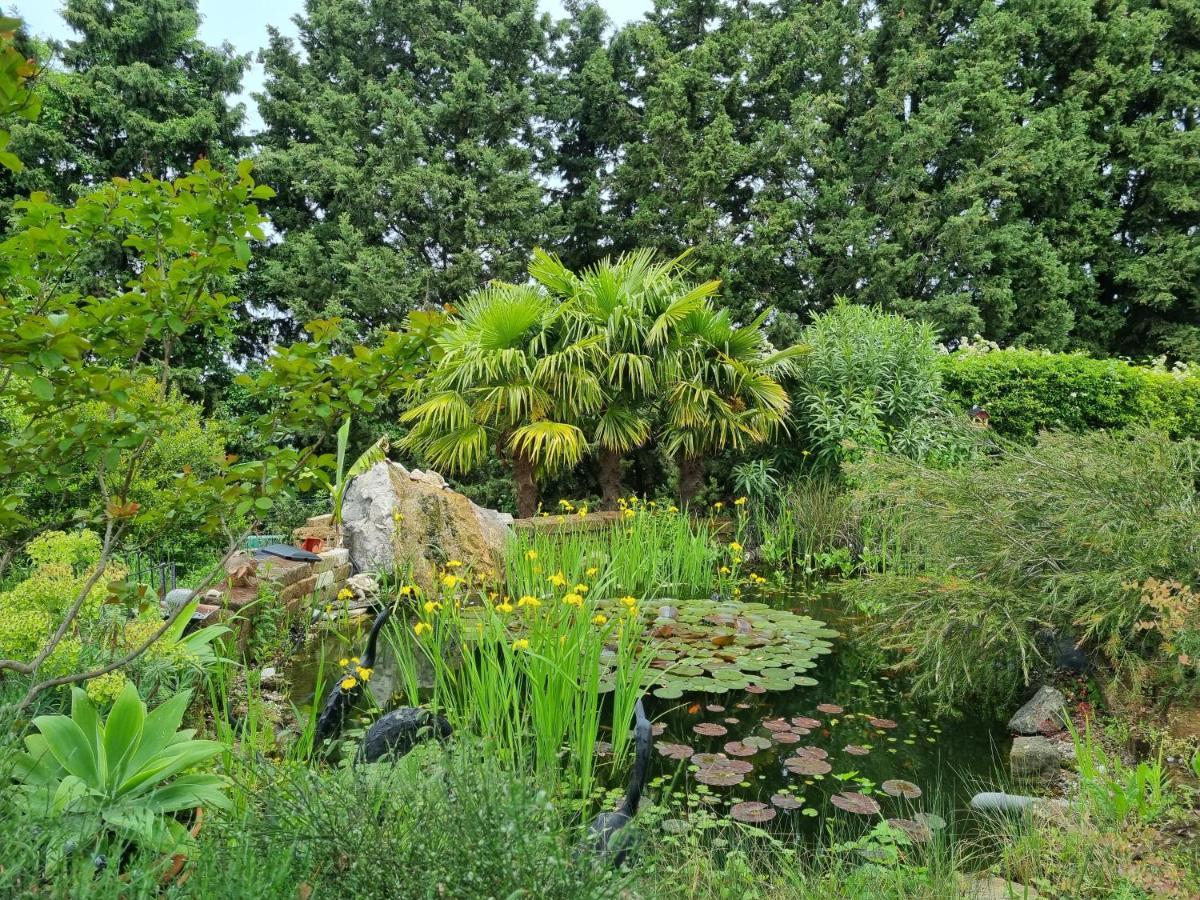 Garden Apartment Secovlje Ngoại thất bức ảnh