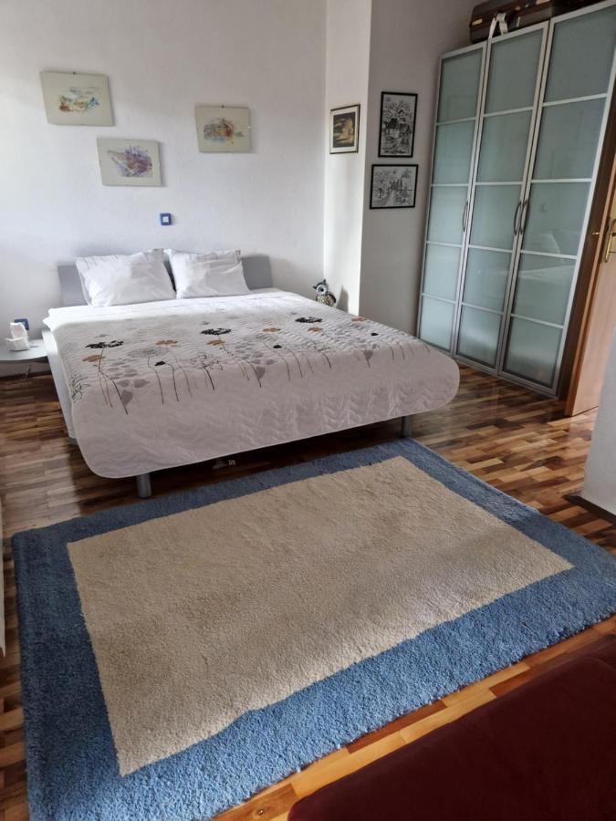 Garden Apartment Secovlje Ngoại thất bức ảnh